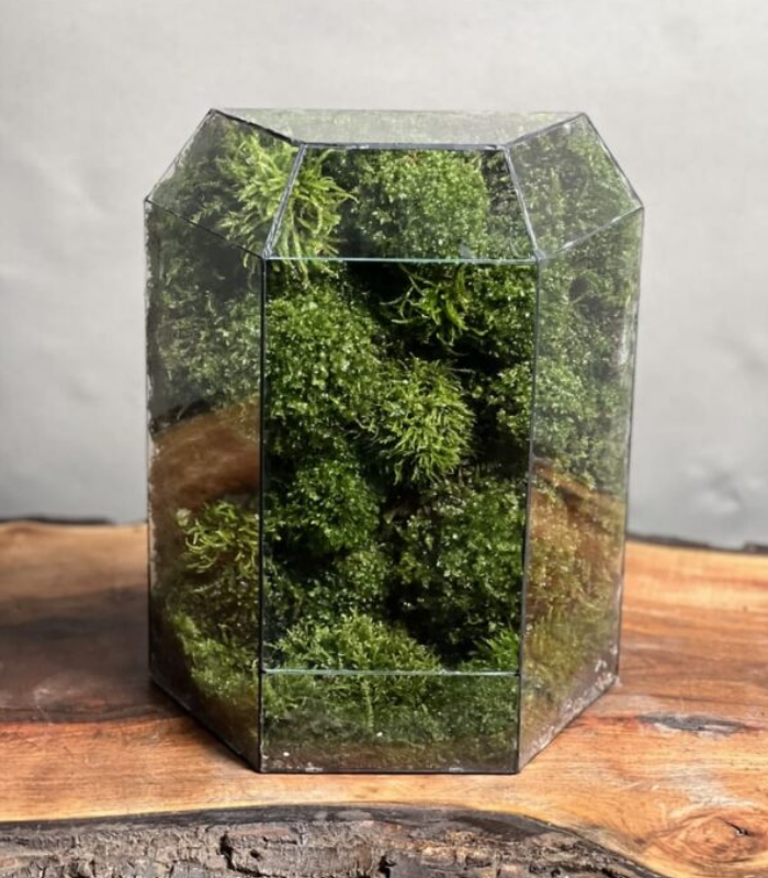 موساریوم طرح گنبد طبیعت