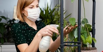 معرفی سموم شیمیایی مناسب برای گیاهان زینتی