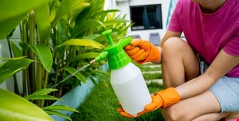 معرفی سموم شیمیایی مناسب برای کنترل آفات باغچه خانگی