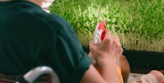 نکات مهم در زمان‌بندی استفاده از سموم شیمیایی