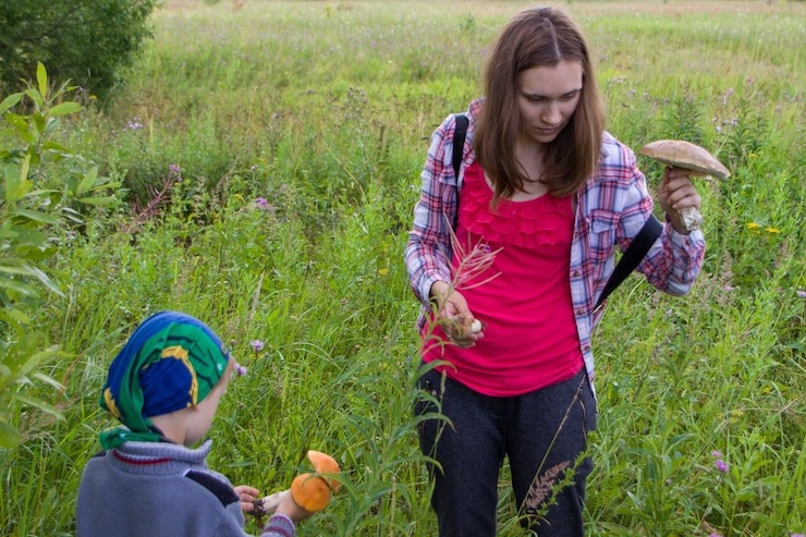 آموزش نحوه استفاده صحیح از سموم شیمیایی